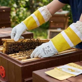 Rękawice pszczelarskie dziecięce Bieno®Leather 4-5