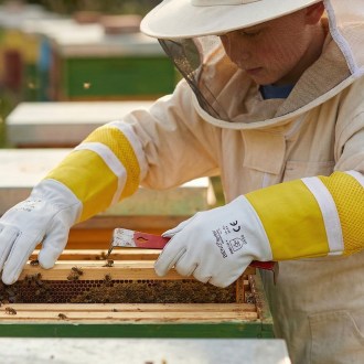 Rękawice pszczelarskie dziecięce Bieno®Leather 4-5