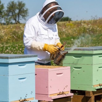 Bluza pszczelarska z kapturem - S - XXL