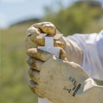 Calistrip Biox 6,44 g - 10 pasków