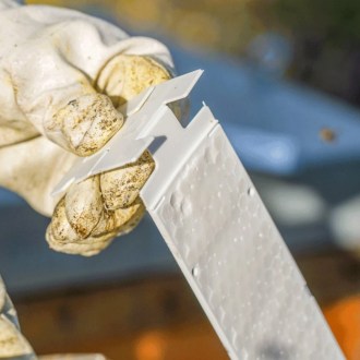 Calistrip Biox 6,44 g - 10 pasków