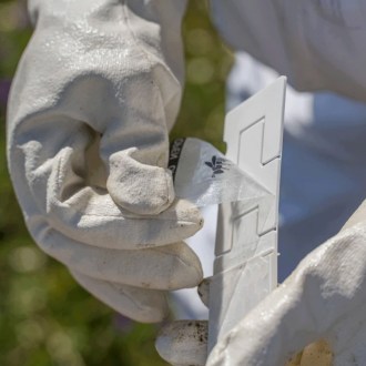 Calistrip Biox 6,44 g - 10 pasków