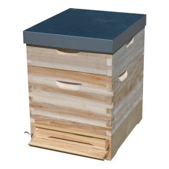 Ul Dadanta 1x(285) + 1x2/3(159) - 10 lat - cynk