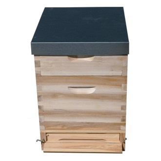 Ul Dadanta 1x(285) + 1x2/3(159) - 10 lat - cynk