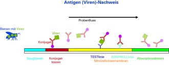 FASTest BEE 3T – szybki test na wirusy pszczele (2 szt.)