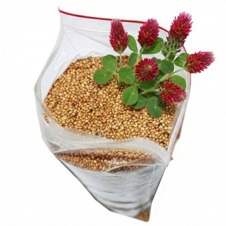 Wcielona koniczyna - 0,5 kg