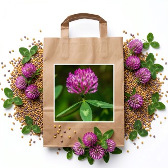 Koniczyna łąkowa SLAVÍN - 1 kg