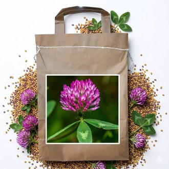 Koniczyna łąkowa SLAVÍN - 1 kg