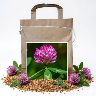 Koniczyna łąkowa SLAVÍN - 1 kg