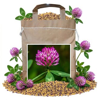 Koniczyna łąkowa SLAVÍN - 1 kg