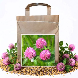 Koniczyna łąkowa VENDELÍN - 1 kg