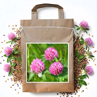 Koniczyna łąkowa VENDELÍN - 1 kg