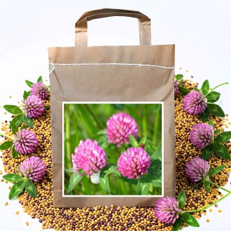 Koniczyna łąkowa VENDELÍN - 1 kg