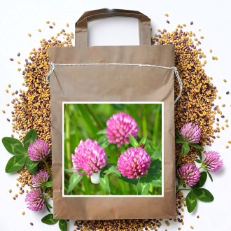 Koniczyna łąkowa VENDELÍN - 1 kg