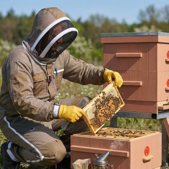 Kombinezon pszczelarski z wentylacją Elegant Bee - S-XXXXL
