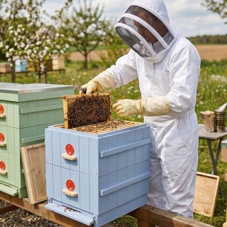 Kombinezon pszczelarski z kapturem S - XXL