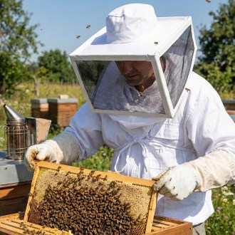 Maska pszczelarska - USA