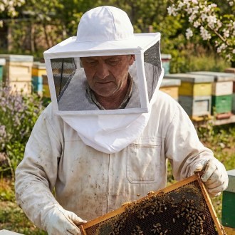 Maska pszczelarska - USA