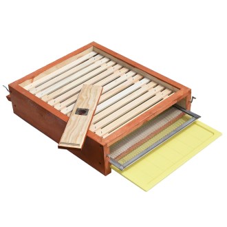 Siateczkowa dennica varroa - Langstroth - komplet, malowana