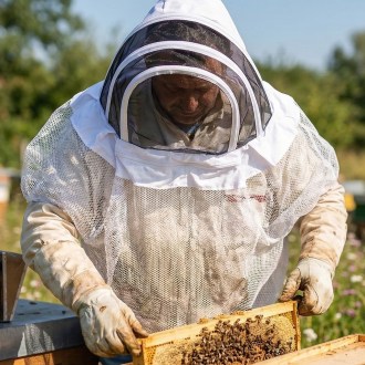 Maska pszczelarska Mellarius z welonem