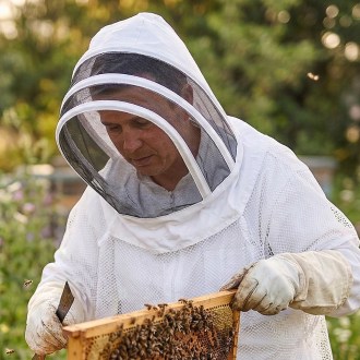 Maska pszczelarska Mellarius z welonem