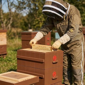 Kombinezon pszczelarski z częściową wentylacją Elegant Bee - S-XXXXL
