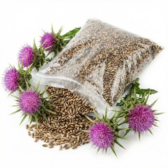 Ostropest plamisty - 0,5 kg