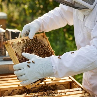 Rękawice skórzane z zarękawnikami - S - XXL