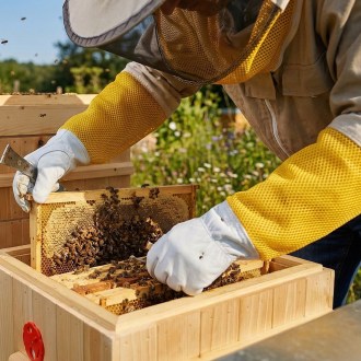 Rękawice skórzane z wentylacją - S - XXL