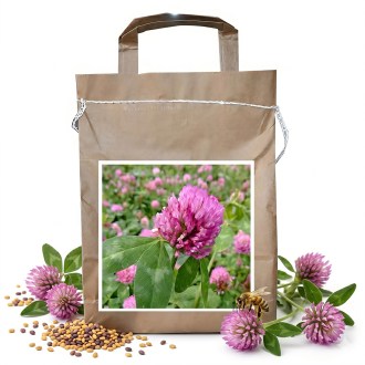 Koniczyna łąkowa SLAVOJ - 1 kg