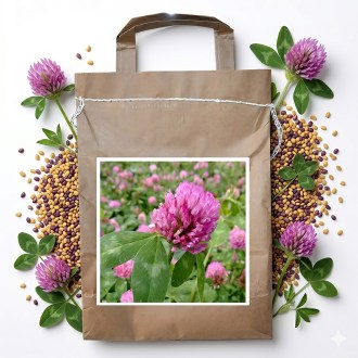 Koniczyna łąkowa SLAVOJ - 1 kg