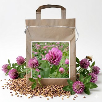 Koniczyna łąkowa SLAVOJ - 1 kg