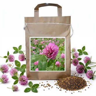 Koniczyna łąkowa SLAVOJ - 1 kg