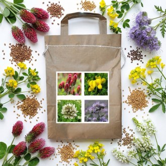 Mieszanka nektarodawców dla pszczół jednorocznych typ 1 - 1 kg