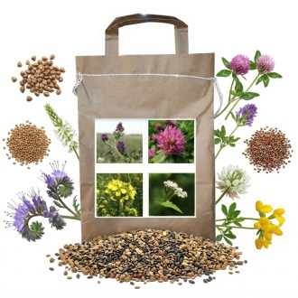 Mieszanka nektarodawców dla pszczół wieloletnich - 1 kg