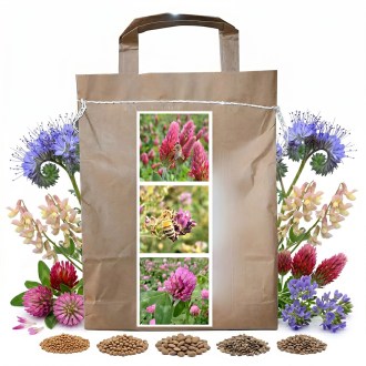 Mieszanka miododajna dla pszczół wieloletnia letnia - 1 kg