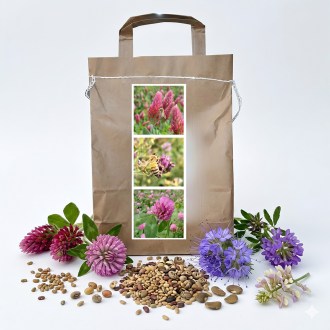 Mieszanka miododajna dla pszczół wieloletnia letnia - 1 kg