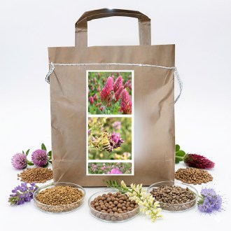 Mieszanka miododajna dla pszczół wieloletnia letnia - 1 kg