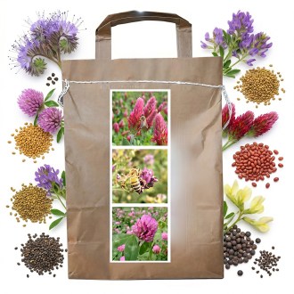 Mieszanka miododajna dla pszczół wieloletnia letnia - 1 kg