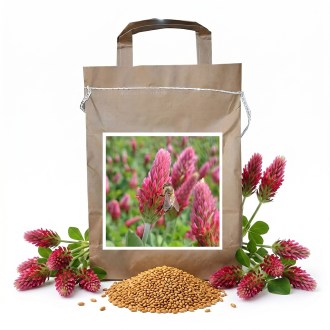 Koniczyna fioletowa CARDINAL (wcielona) - 1 kg