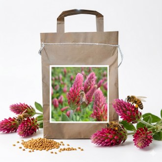 Koniczyna fioletowa CARDINAL (wcielona) - 1 kg