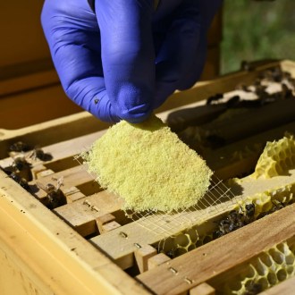 THYMOVAR Paski 2 x 5 szt.