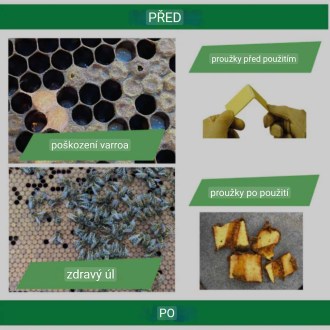THYMOVAR Paski 2 x 5 szt.