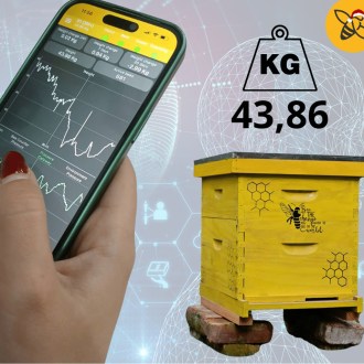 Waga ula 3W